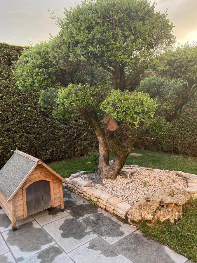 Wooden House Bed & Breakfast Montegrotto Terme Ngoại thất bức ảnh